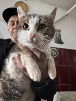 /album/89/whatsapp-image-2026-04-28-at-18-50-19-15-jpeg/